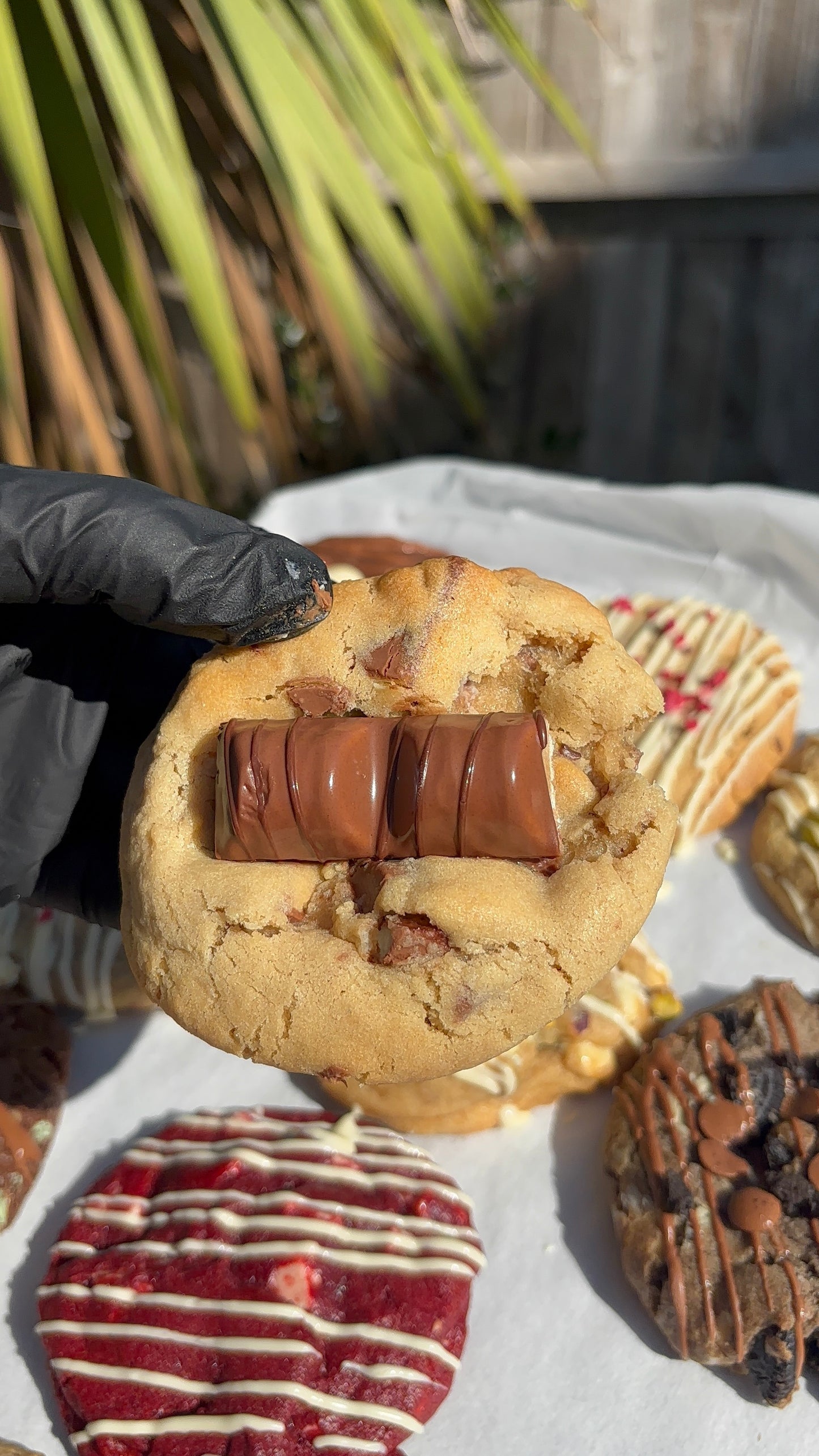 Build Your Own Teesxbakery Box