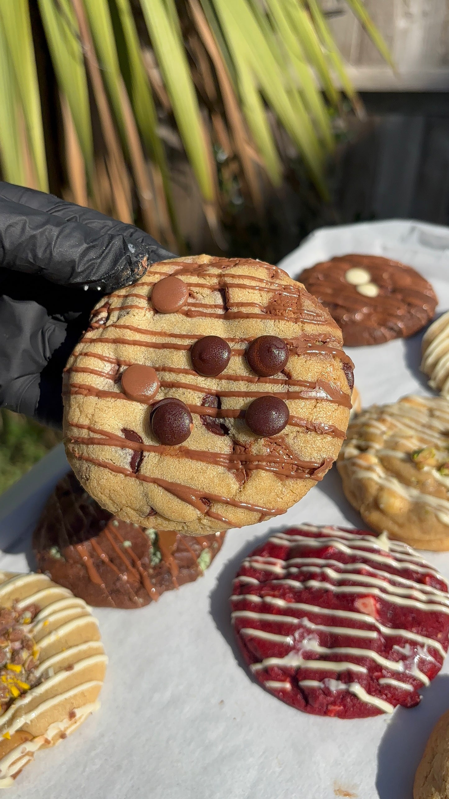 Build Your Own Teesxbakery Box