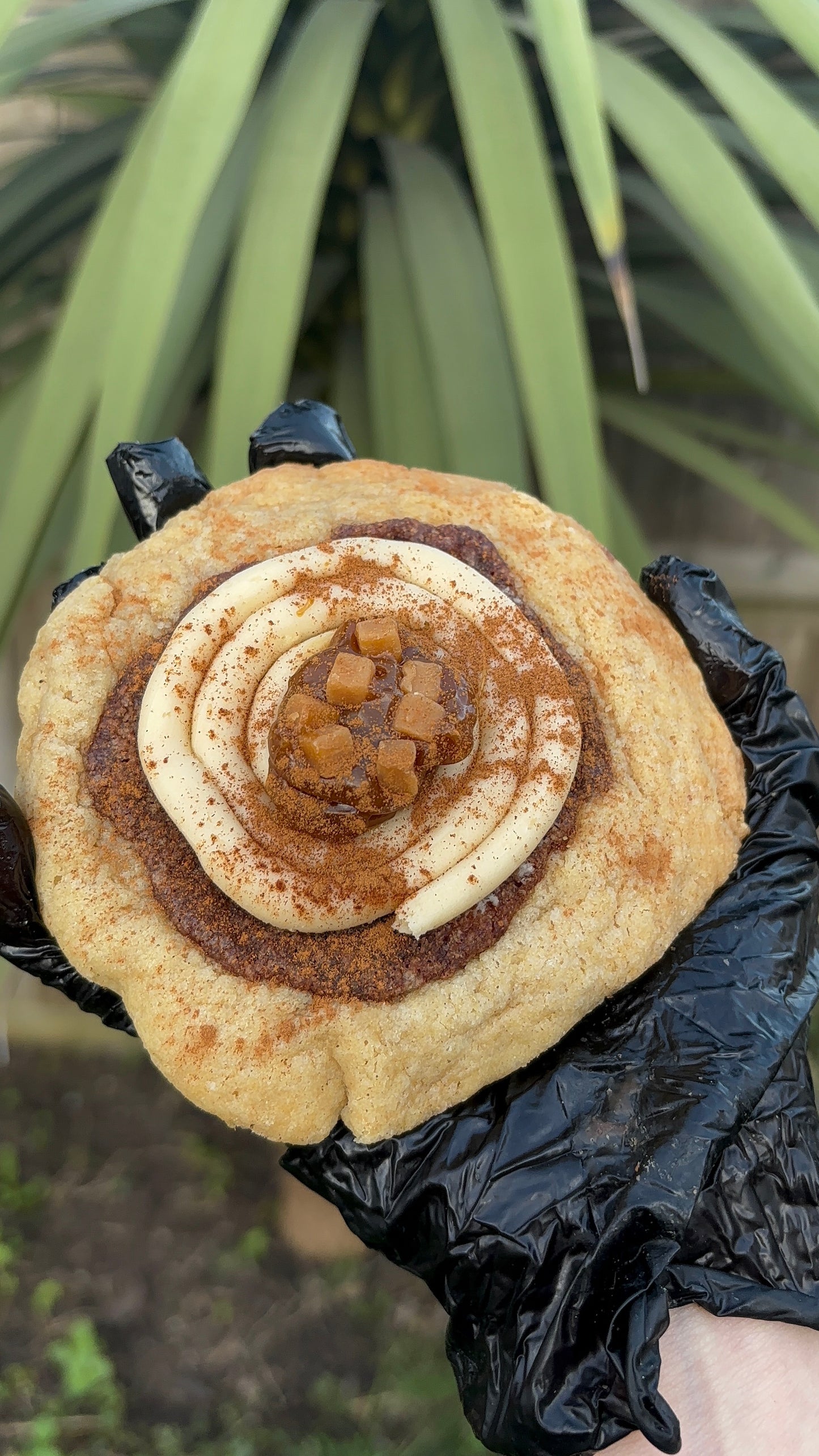 Build Your Own Teesxbakery Box