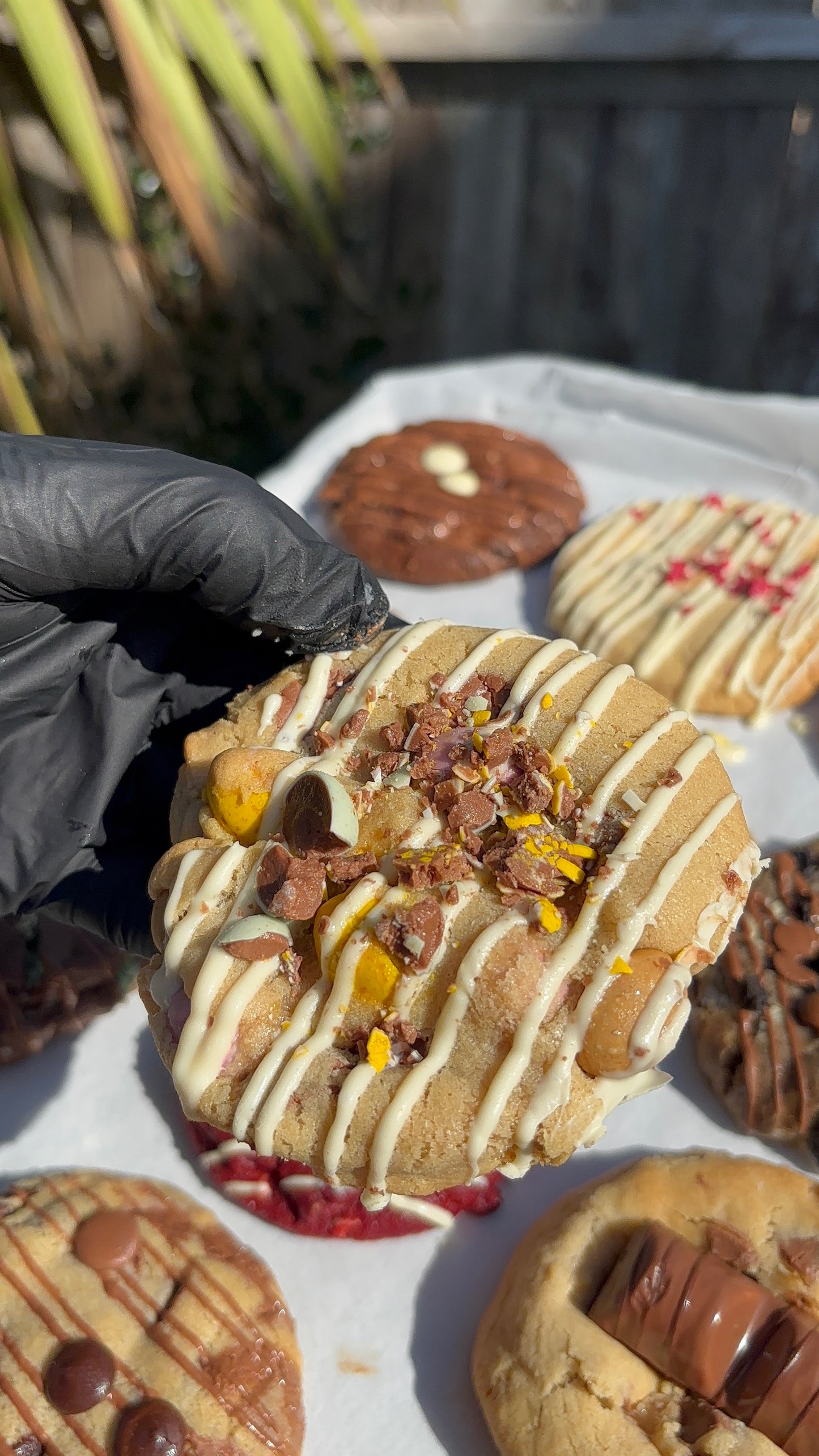 Build Your Own Teesxbakery Box