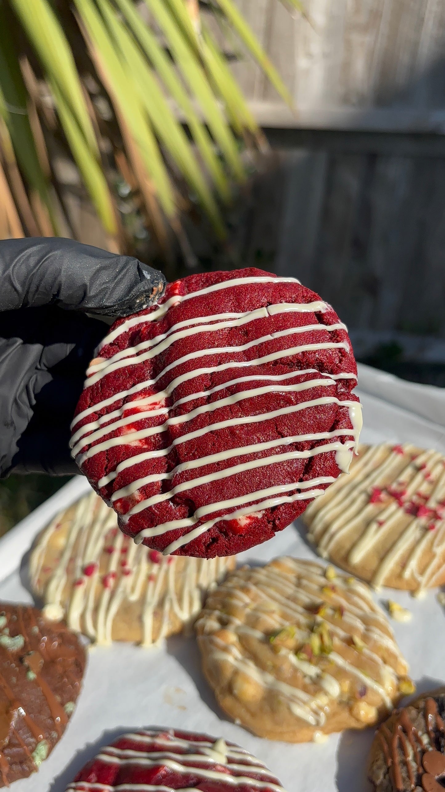 Build Your Own Teesxbakery Box