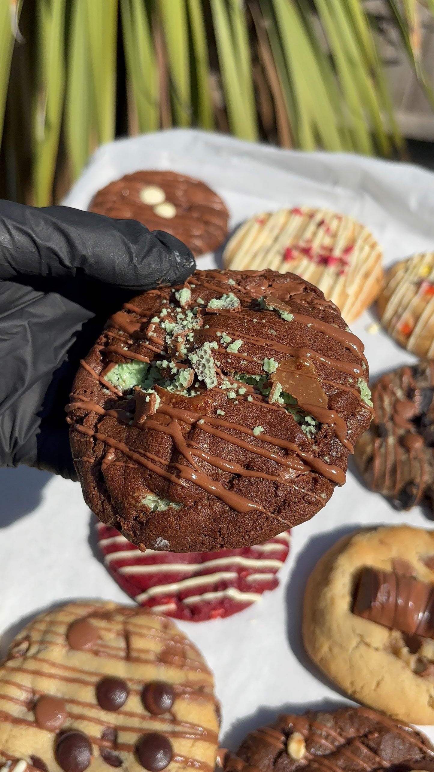 Build Your Own Teesxbakery Box