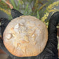 Build Your Own Teesxbakery Box