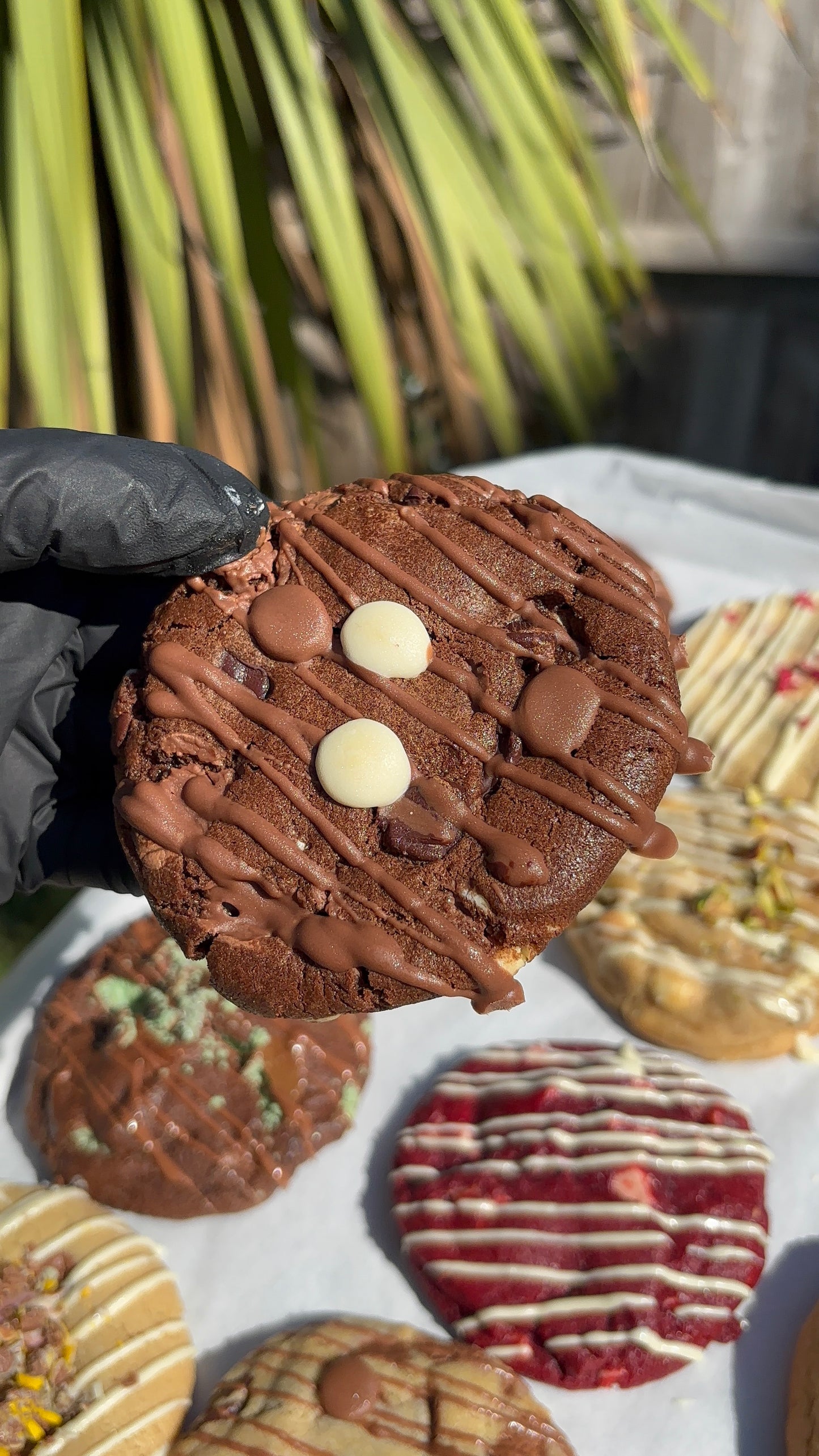 Build Your Own Teesxbakery Box